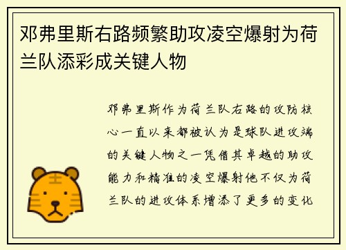 邓弗里斯右路频繁助攻凌空爆射为荷兰队添彩成关键人物